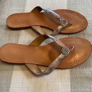 Coach flip flop sandals